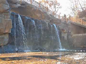 大家保险，大家保险集团